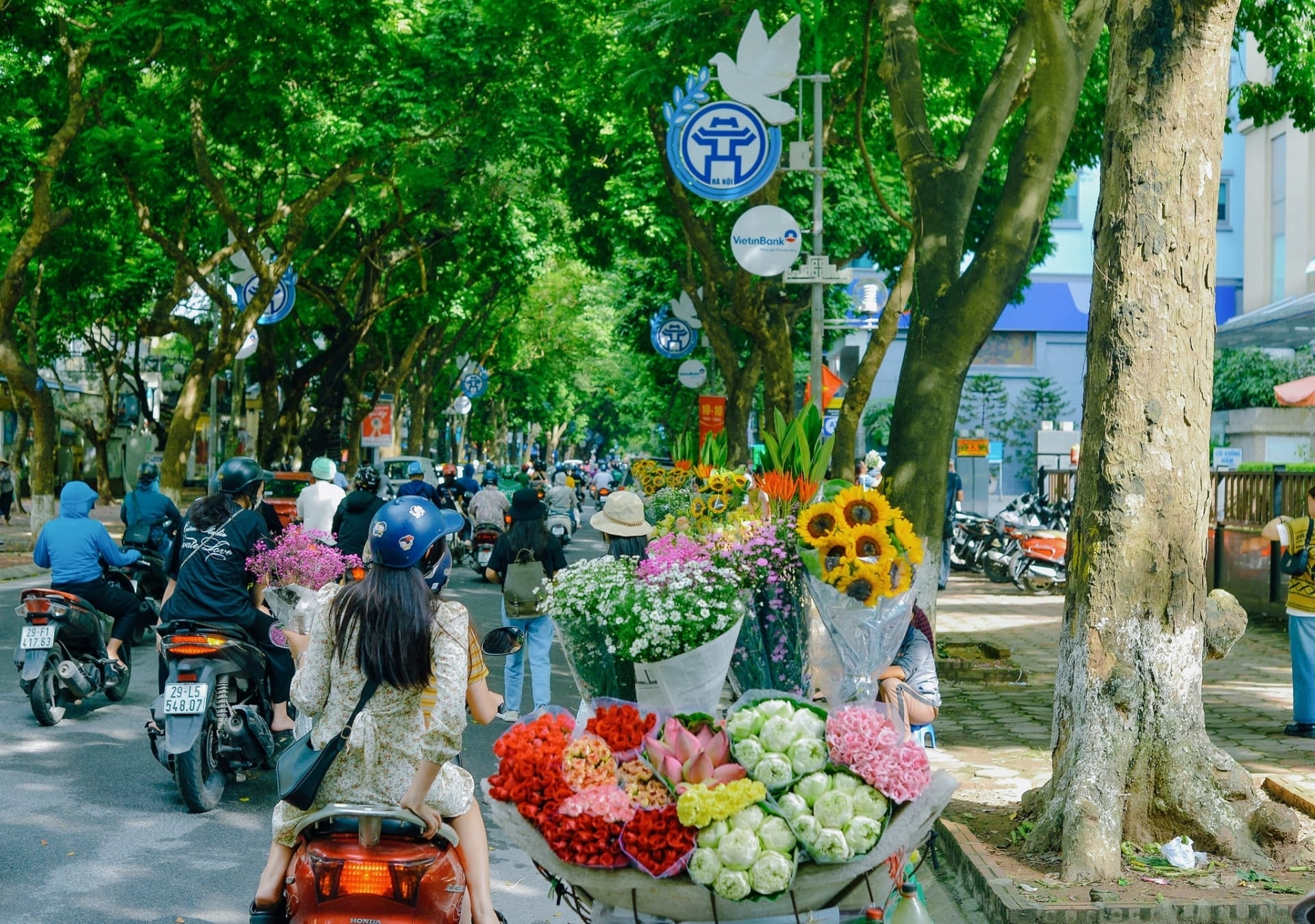 ha-noi-trong-toi
