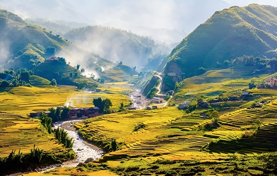 Sapa