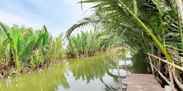 TOUR RỪNG DỪA KHỞI HÀNH TỪ ĐÀ NẴNG
