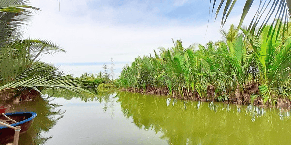 TOUR RỪNG DỪA KHỞI HÀNH TỪ ĐÀ NẴNG