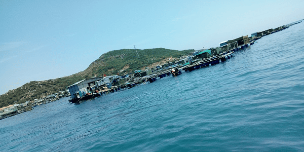 TOUR HANG RÁI – VĨNH HY 1 NGÀY