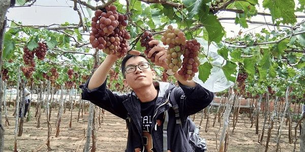 TOUR HANG RÁI – VĨNH HY 1 NGÀY