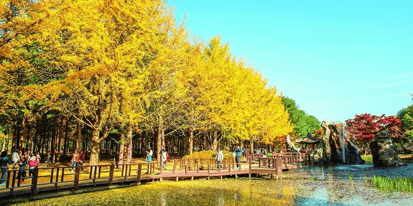 TOUR HÀN QUÔC - XỨ SỞ KIM CHI 5N4D