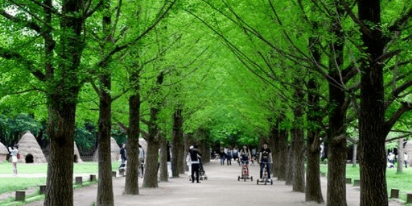 TOUR HÀN QUÔC - XỨ SỞ KIM CHI 5N4D