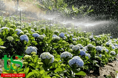 CHƯƠNG TRÌNH TOUR NHÀ VƯỜN 2