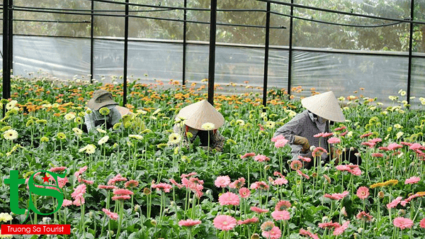 TOUR NGOẠI THÀNH ĐÀ LẠT