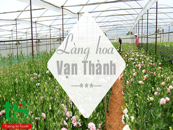 TOUR NGOẠI THÀNH ĐÀ LẠT