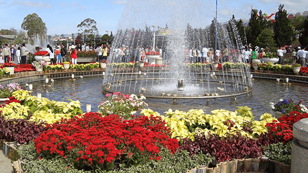 TOUR ĐÀ LẠT NỬA NGÀY