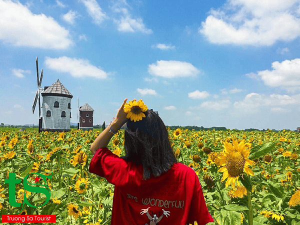 TOUR BA THÁC TẠI ĐÀ LẠT