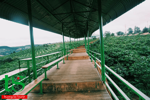 TOUR BA THÁC TẠI ĐÀ LẠT