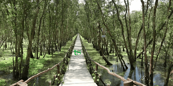 TOUR CẦN THƠ – AN GIANG – SÓC TRĂNG – BẠC LIÊU – CÀ MAU 4N3Đ