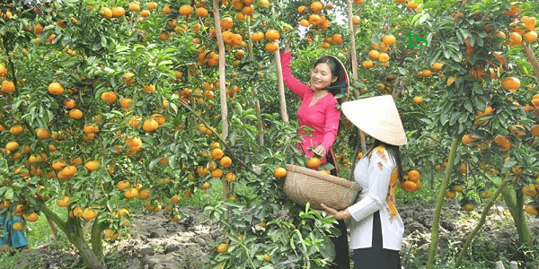 TOUR CẦN THƠ – SÓC TRĂNG – BẠC LIÊU – CÀ MAU 3N2Đ