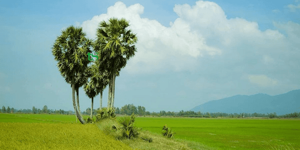 TOUR CẦN THƠ – SÓC TRĂNG – BẠC LIÊU – CÀ MAU 3N2Đ