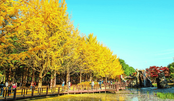 TRẢI NGHIỆM TẾT CỔ TRUYỀN HÀN QUỐC