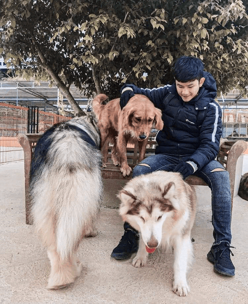 TOUR FESIVAL HOA ĐÀ LẠT 3N2D