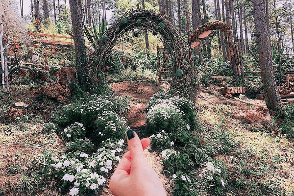 ĐÀ LẠT – MÙA FESIVAL HOA 4N3D