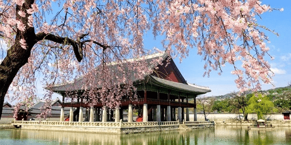 TOUR TẾT TRUYỀN THỐNG HÀN QUỐC GIÁ RẺ