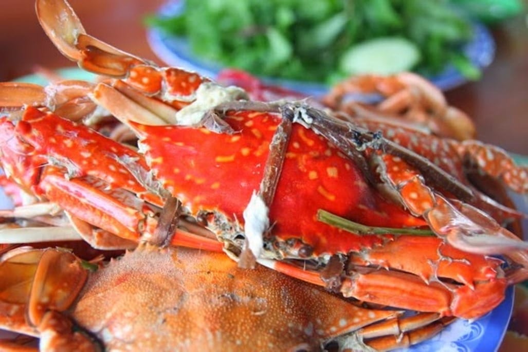 CÂU CÁ LẶN NGẮM SAN HÔ PHÚ QUỐC 4N3Đ