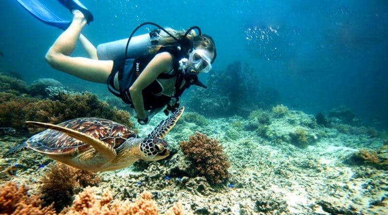 TOUR CÙ LAO CHÀM 1 NGÀY ĐÓN TẠI HỘI AN