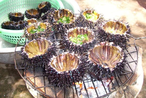 TOUR CÙ LAO CHÀM ĐÓN TẠI CẢNG CỬA ĐẠI