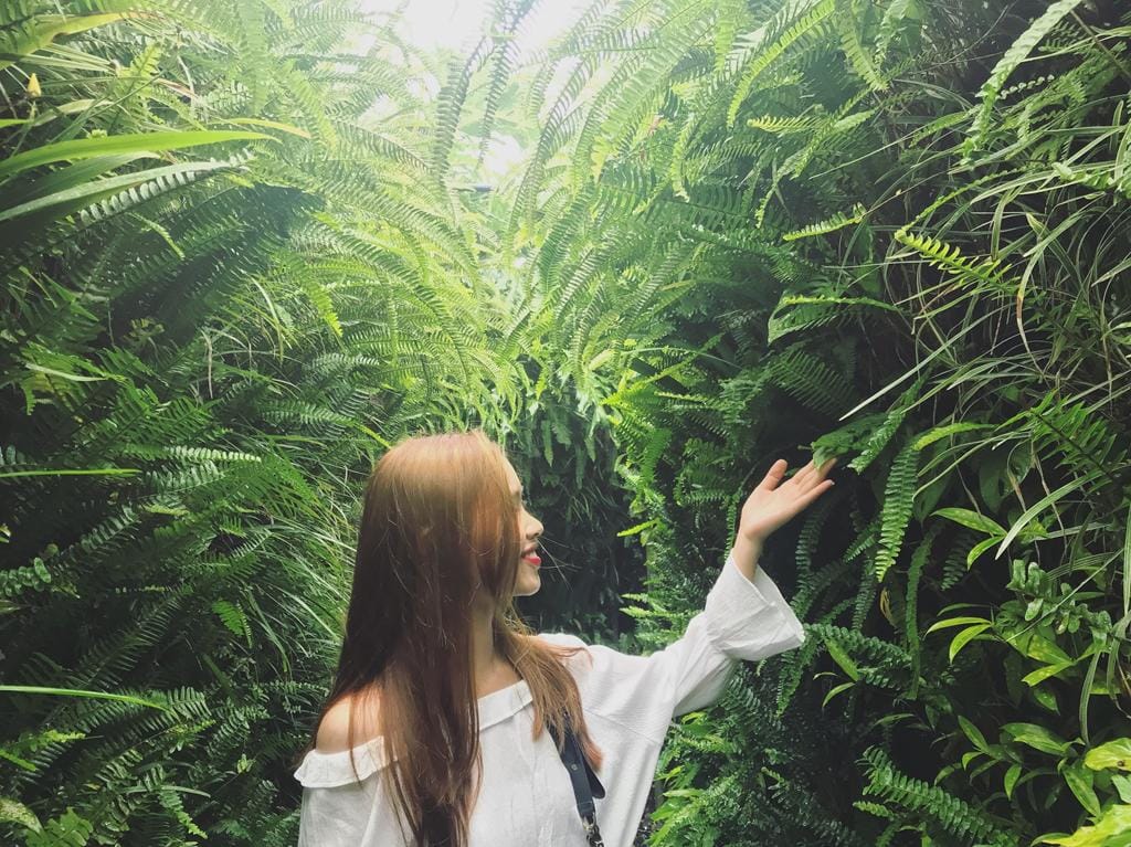 TOUR HÀ NỘI - ĐÀ NẴNG 3N2Đ TRỌN GÓI