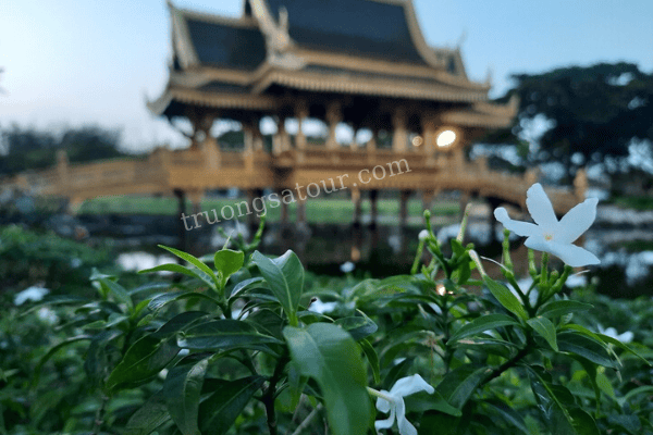 TOUR THÁI LAN GIÁ RẺ KHỞI HÀNH TỪ ĐÀ NẴNG
