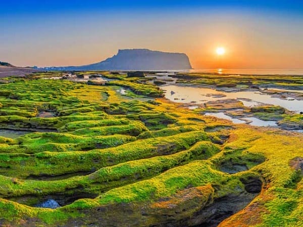 TOUR THIÊN ĐƯỜNG NGHỈ DƯỠNG JEJU