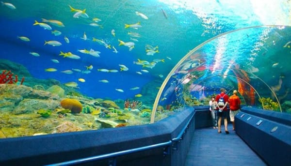 Discovery Nha Trang one day | Nha Trang Tour Package | Viet Nam Trip