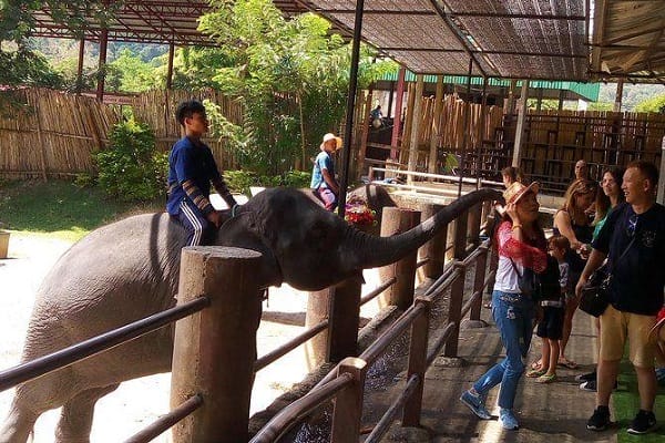 TOUR LỄ HỘI TÉ NƯỚC TRUYỀN THỐNG – THÁI LAN