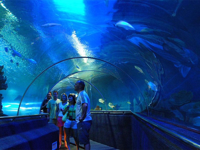 DISCOVERY NHA TRANG 3 DAYS | Nha Trang Tour Package | Nha Trang - Viet Nam Trip