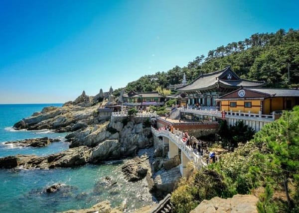 TOUR JEJU GIÁ RẺ
