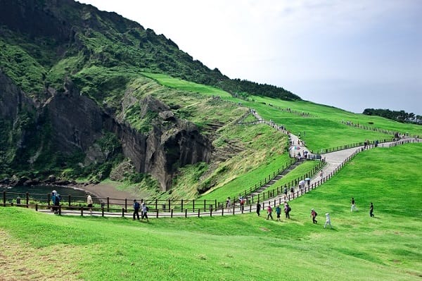 TOUR JEJU GIÁ RẺ