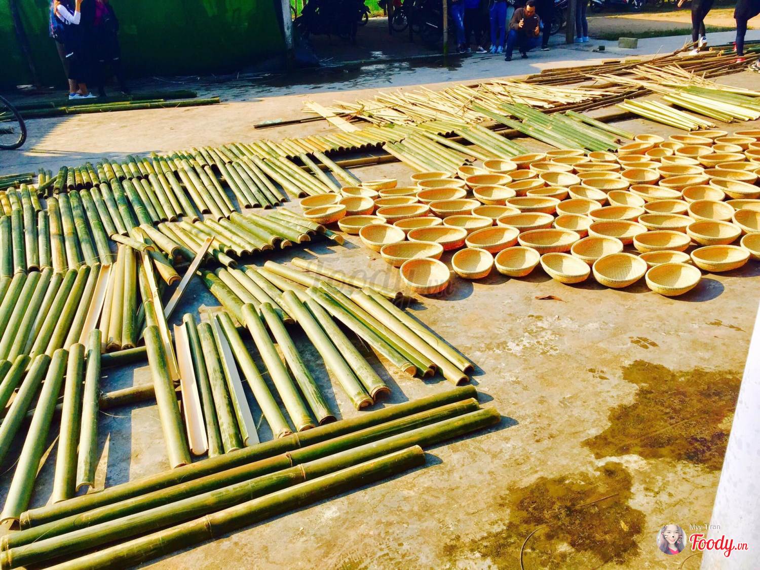 CÂY CÔ ĐƠN - LÀNG NGHỀ ĐAN LÁT - LÀNG BÍCH HỌA - PHÁ TAM GIANG