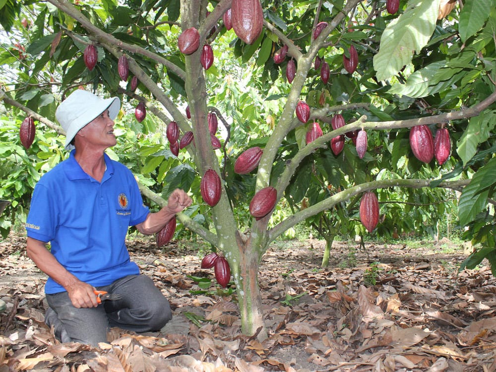 TPHCM – VQG NAM CÁT TIÊN 2N1Đ