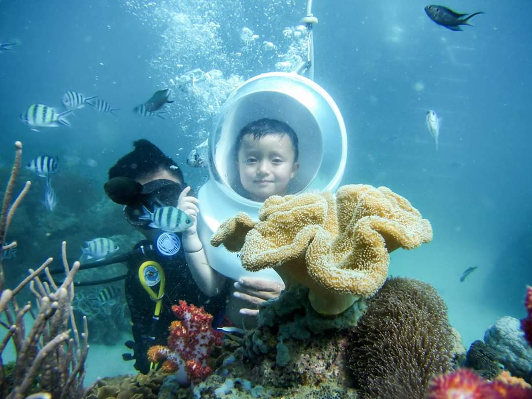 TOUR DU LỊCH CÙ LAO CHÀM ĐÓN TỪ ĐÀ NẴNG
