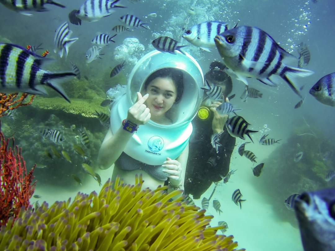 TOUR DU LỊCH CÙ LAO CHÀM ĐÓN TỪ ĐÀ NẴNG
