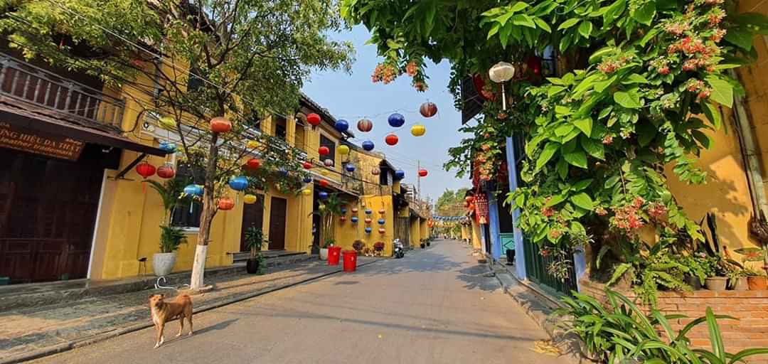 TOUR TẾT DƯƠNG LỊCH ĐÀ NẴNG 4N3Đ GIÁ RẺ