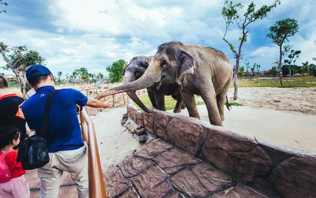 TOUR VINWONDERS NAM HỘI AN KHỞI HÀNH TỪ ĐÀ NẴNG