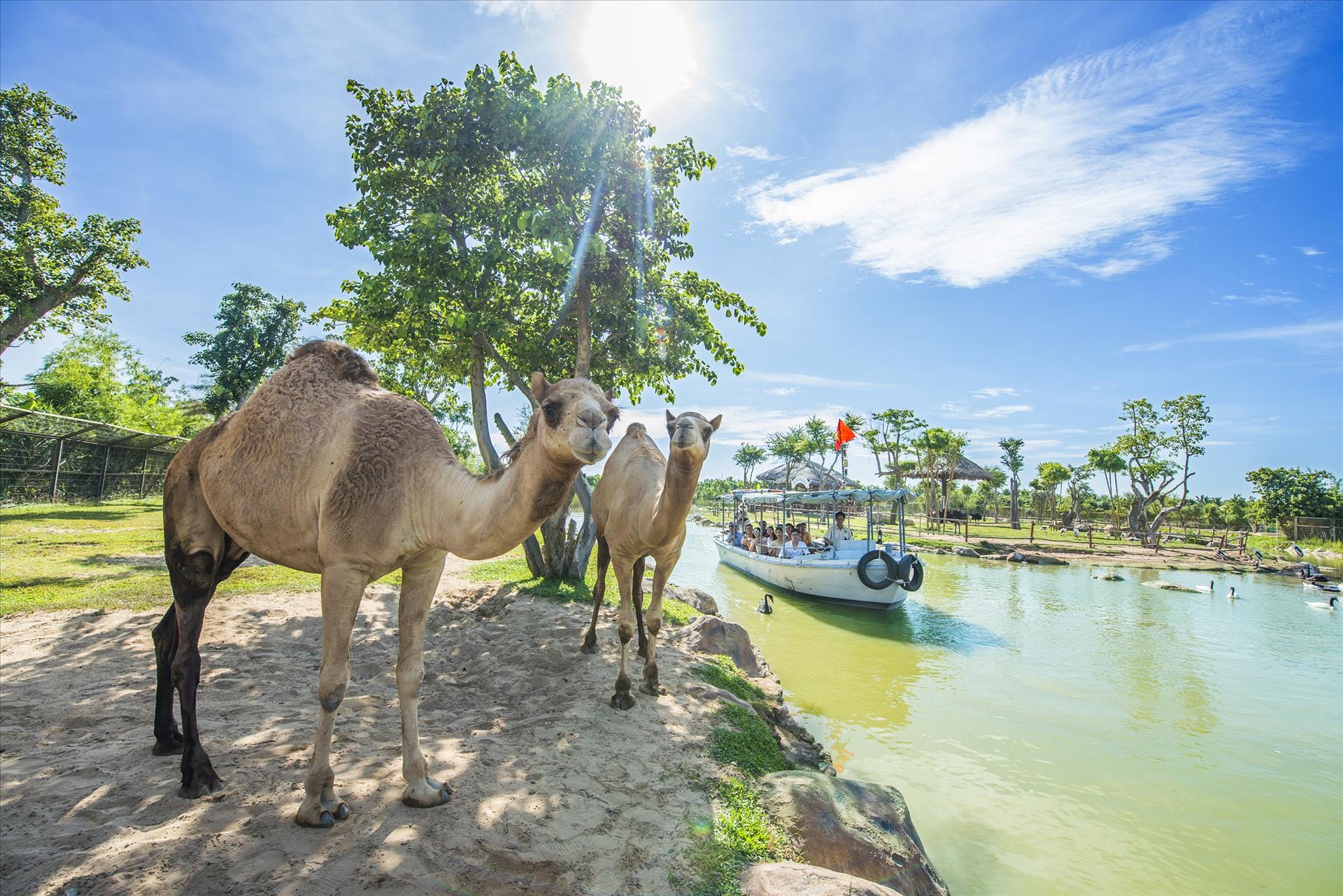 岘港 – VINWONDERS SOUTH HOI AN - 南会安动物保护区 1天之游