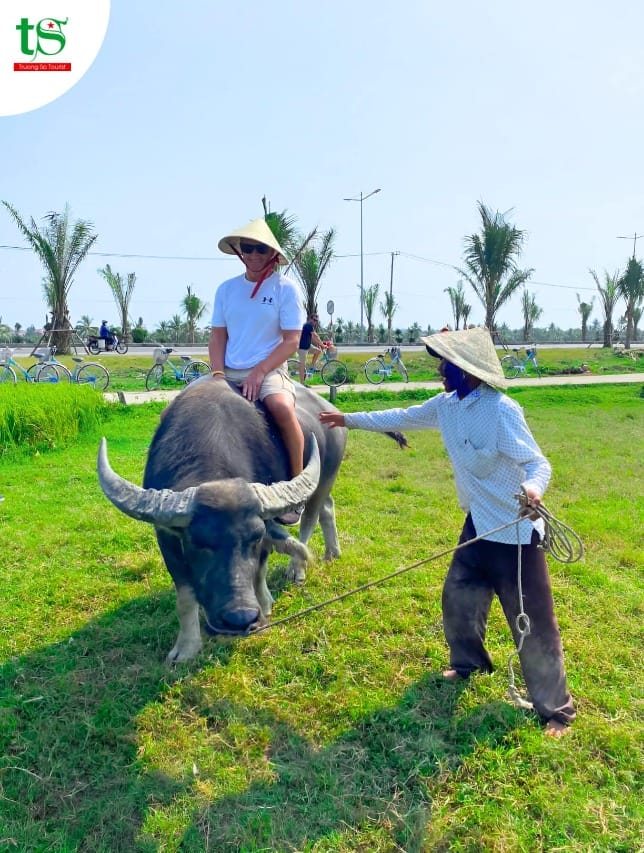 Around Viet Nam by Train - The Heritage Journey – 12 Days