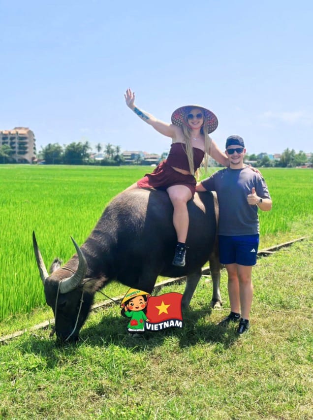 Vietnam Explorer: Ho Chi Minh City to Hanoi in 12 Days