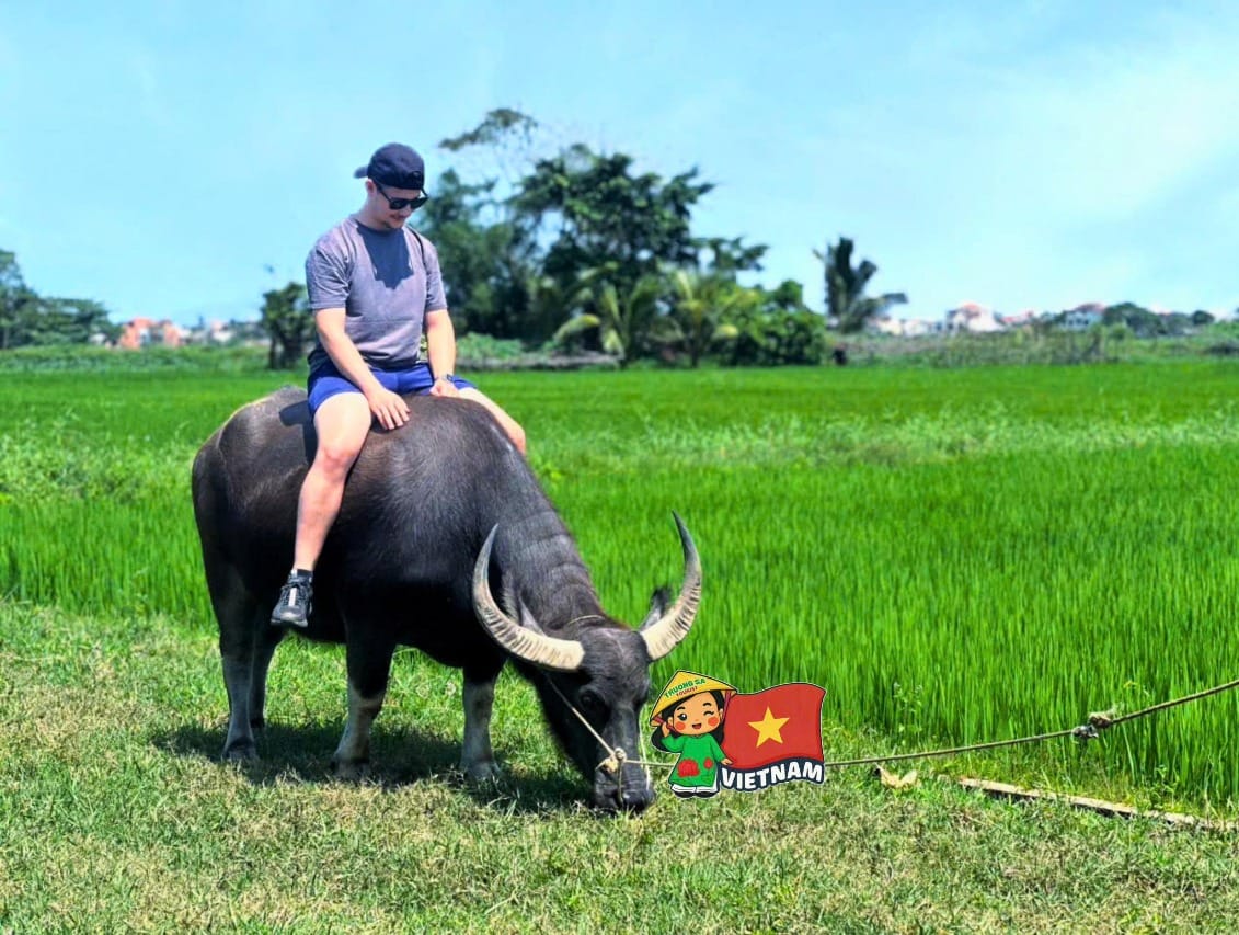 Vietnam Explorer: Ho Chi Minh City to Hanoi in 12 Days