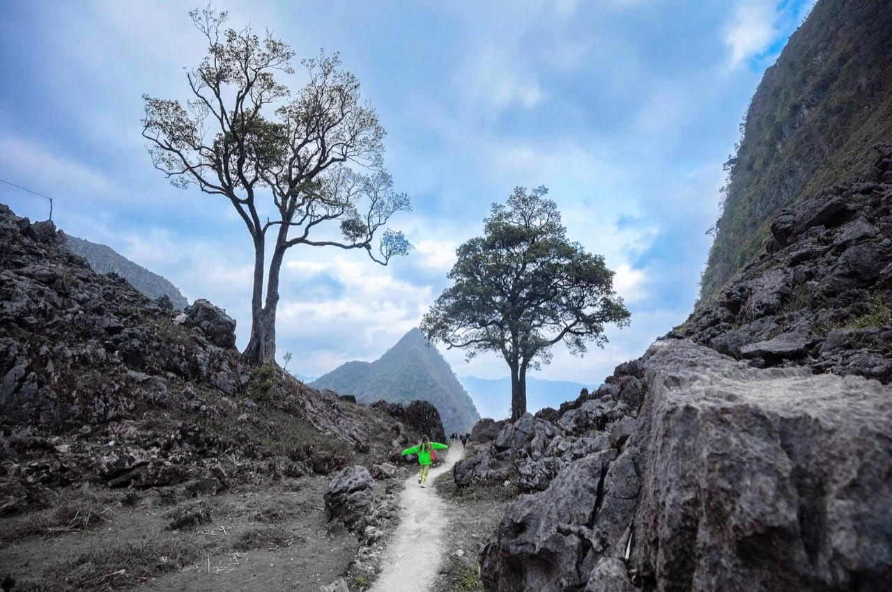 Epic Vietnam Discovery: 26 Days Across the Nation