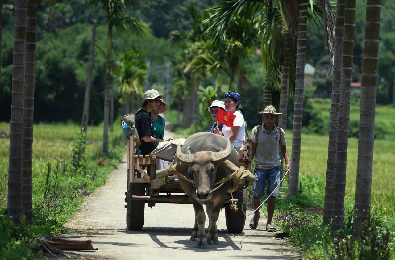 12-Day Vietnam Nature & Culture Journey: Hanoi – Ha Long Bay – Ninh Binh – Pu Luong
