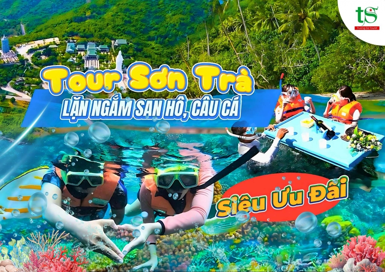 Tour Lặn Biển Ngắm San Hô Sơn Trà Khởi Hành Tại Đà Nẵng Siêu KM 2025