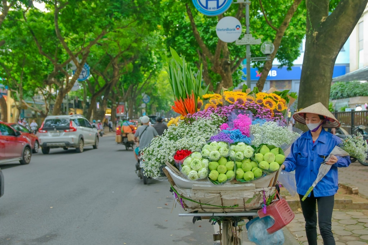 15 Days explore Viet Nam, North - Central - South