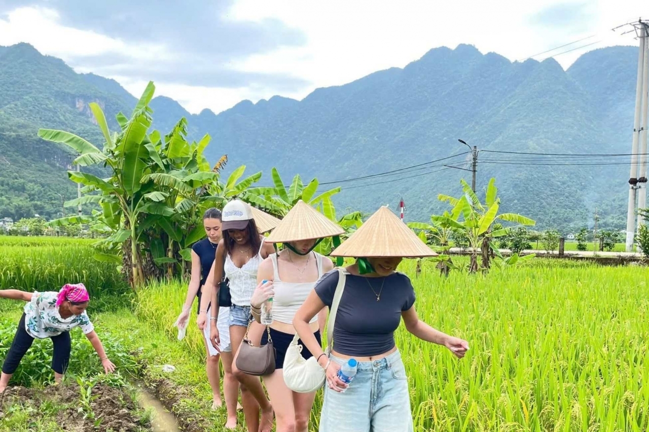 Northern Vietnam tour: Mai Chau, Pu Luong, Ninh Binh