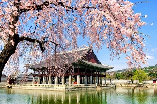 TOUR HÀN QUÔC - XỨ SỞ KIM CHI 5N4D