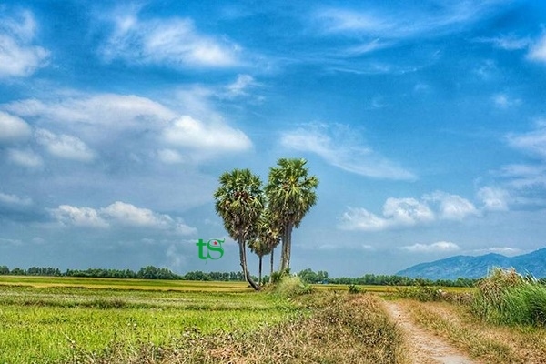 TOUR CẦN THƠ – AN GIANG – SÓC TRĂNG – BẠC LIÊU – CÀ MAU 4N3Đ
