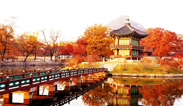 TOUR TẾT TRUYỀN THỐNG HÀN QUỐC GIÁ RẺ